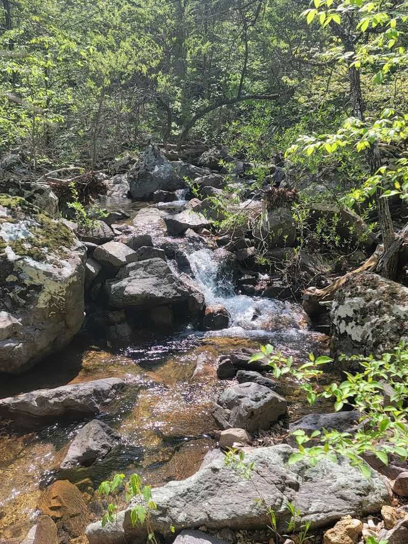 Prairie Hollow Gorge Trail