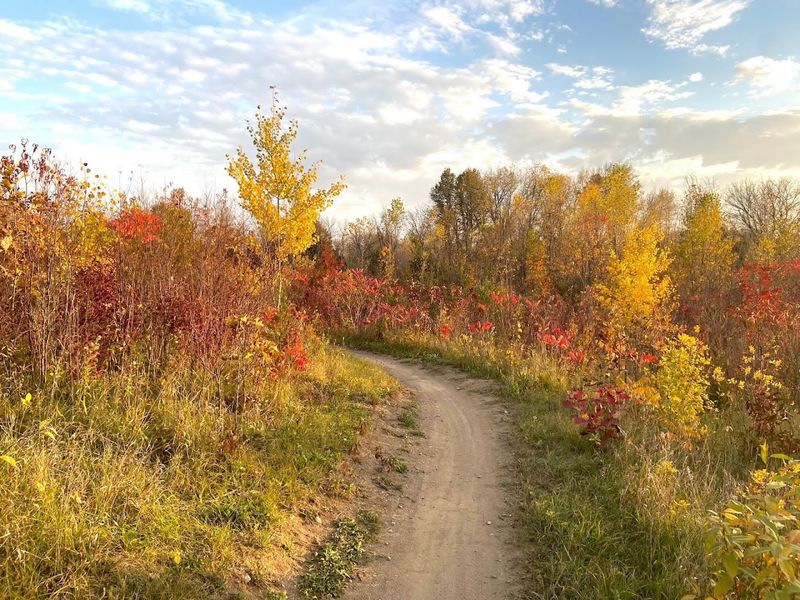 Prairie Sections That Open the Sky Wide