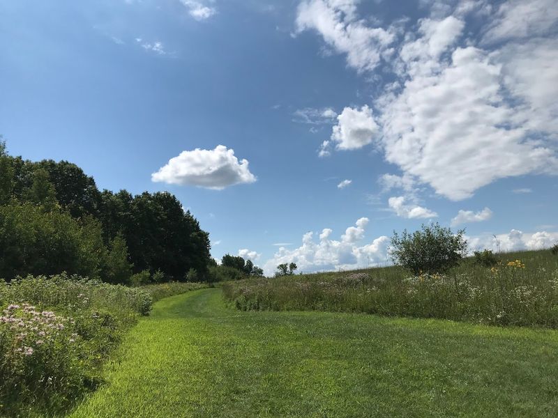 Prairie Trails: Where Minnesota Feels Like 1858