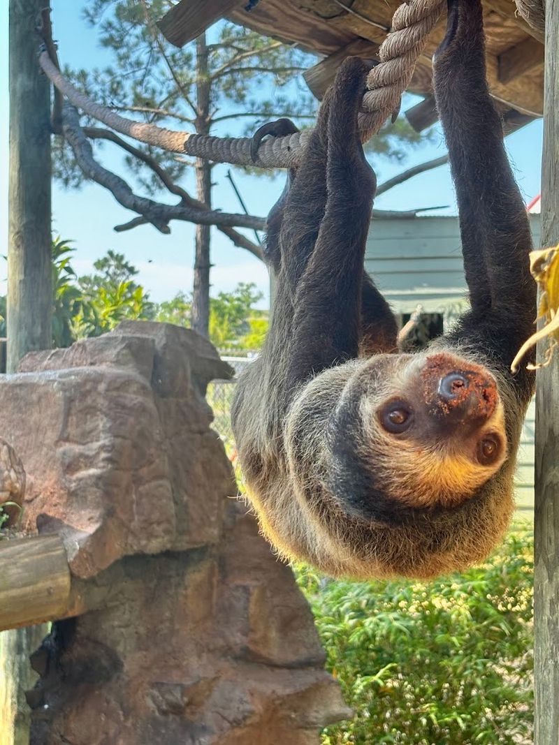 Premium Animal Adventures Take the Experience Behind the Scenes Premium Animal Adventures Take the Experience Behind the Scenes