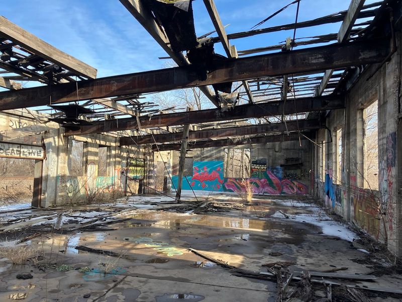 Preservation in Action Thanks to the Decay Devils