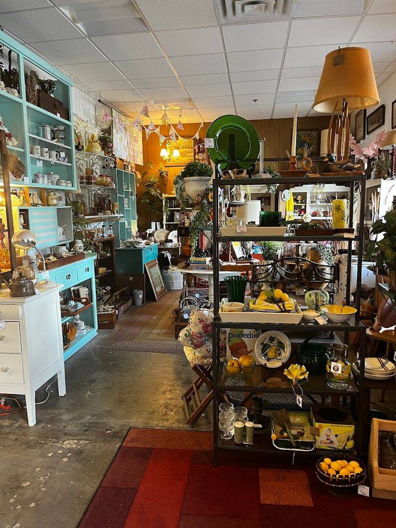 Prices That Make You Feel Like You Found a Secret