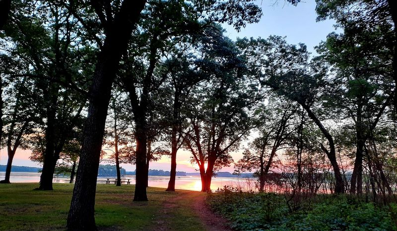 Primitive Camping Under Open Skies Far From the Usual Campground Crowds Primitive Camping Under Open Skies Far From the Usual Campground Crowds