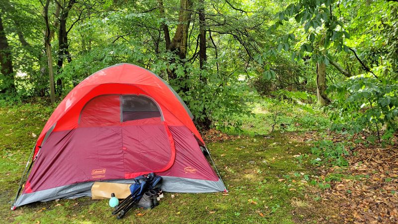 Primitive Camping Under Stars You Actually Get to See