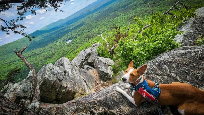 Pulpit Rock Trail (Cheaha State Park)
