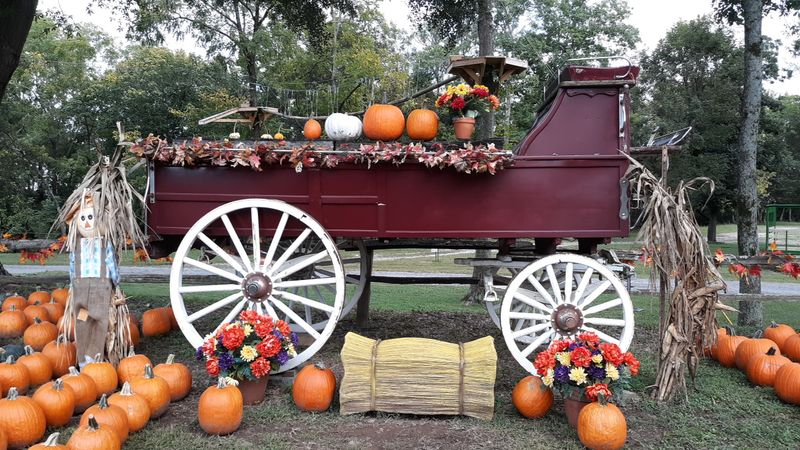 PumpkinFest and Christmas Lights: Seasonal Magic on the Farm