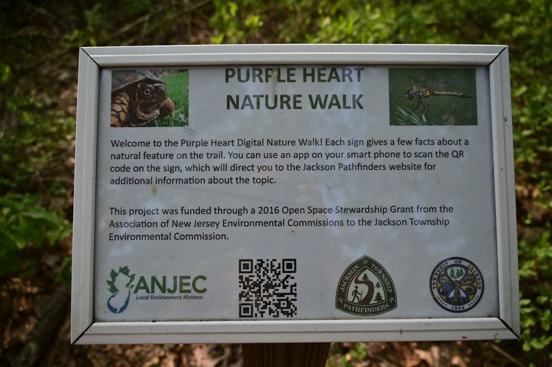 QR Codes on the Trail: A Surprisingly Cool Tech Feature