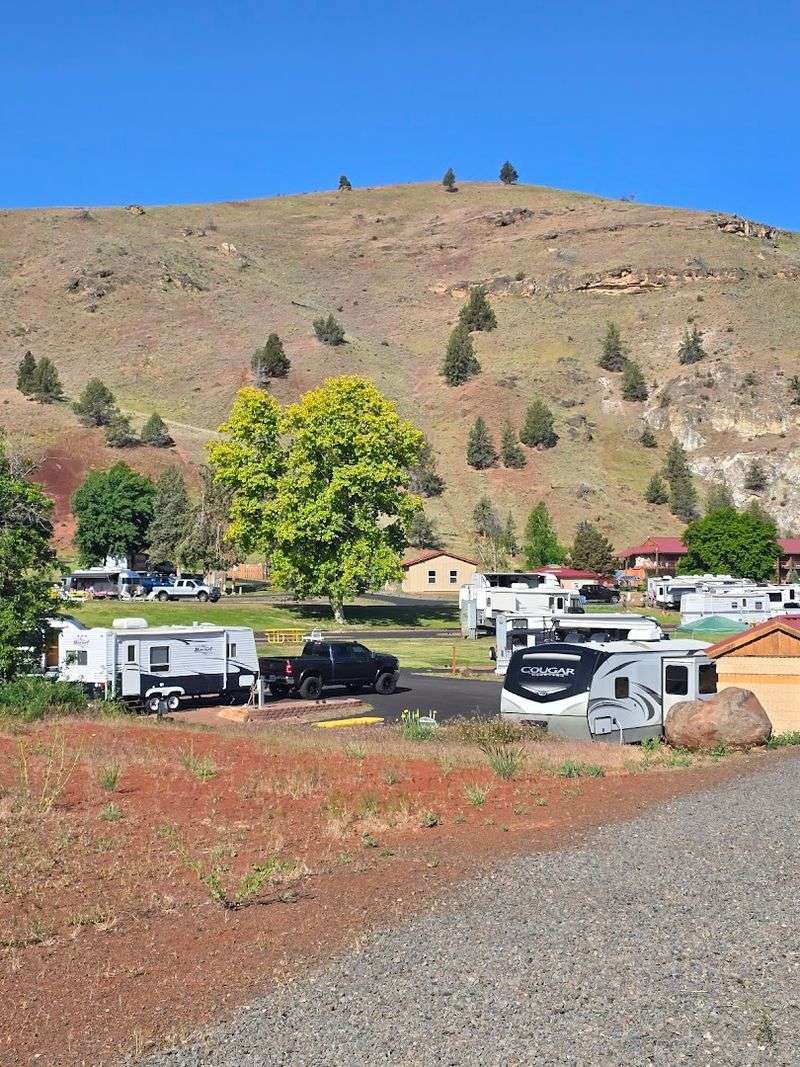 RV Park, Pet-Friendly Rooms, and Staying Your Way
