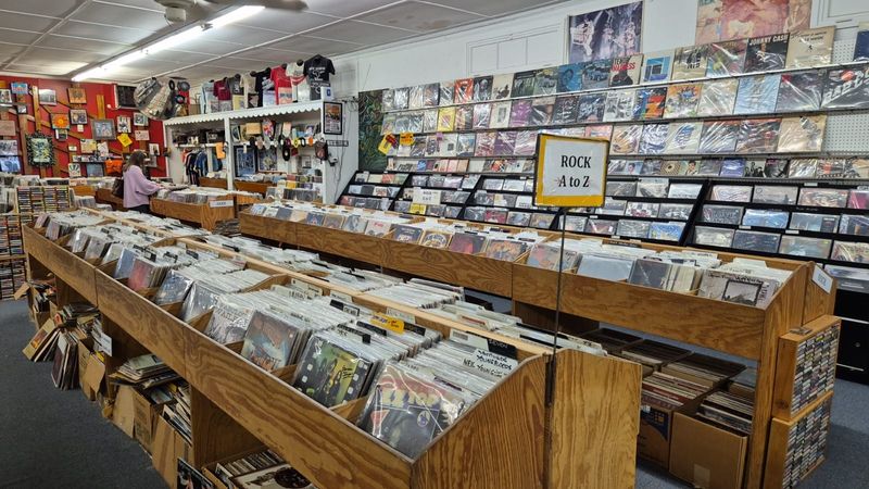 Rare Finds Hiding Around Every Corner