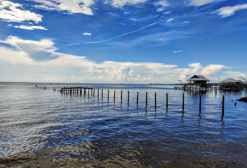 Rare Natural Events and Festivals That Make Every Visit Memorable