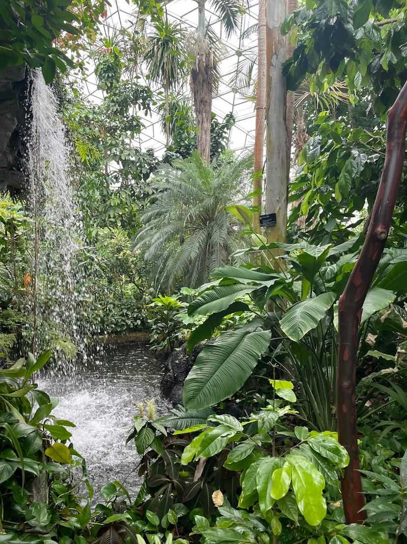 Rare and Exotic Plants Around Every Corner