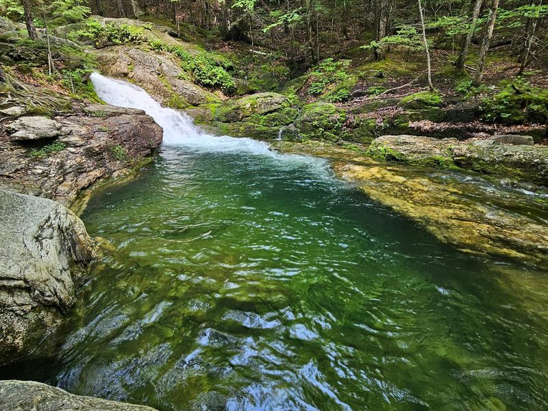 Rattlesnake Pool, Stow