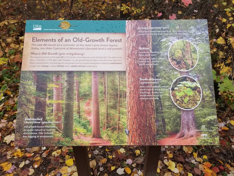 Reading the Trail Signs: History at Every Turn
