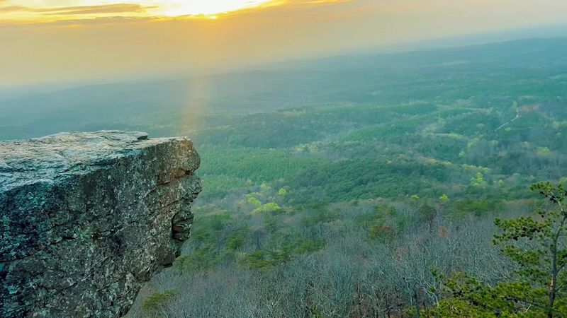 Rest, Reflection, and Deeper Forest Exploration All in One Place