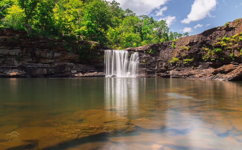 Rich Biodiversity and Wildlife That Surprises Every Visitor