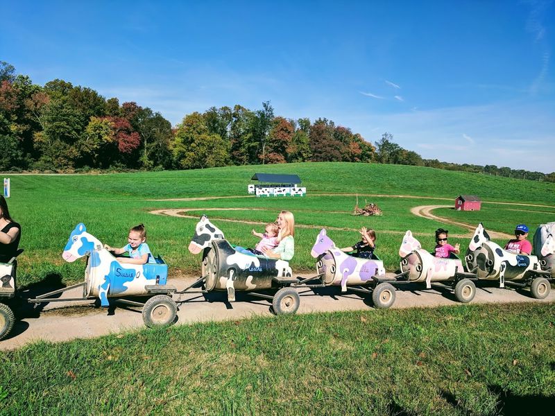 Rides That Keep the Whole Family Moving Rides That Keep the Whole Family Moving