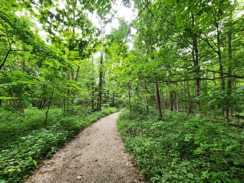 Ritchey Woods Nature Preserve Loop, Fishers