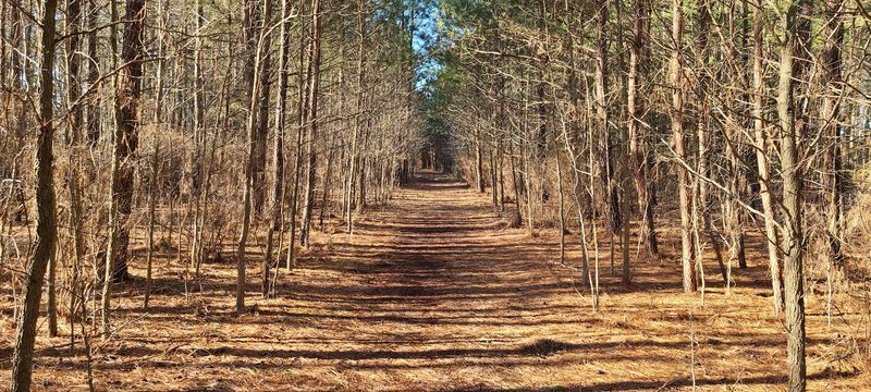 Road Cycling Routes That Make the Drive-In Worth It
