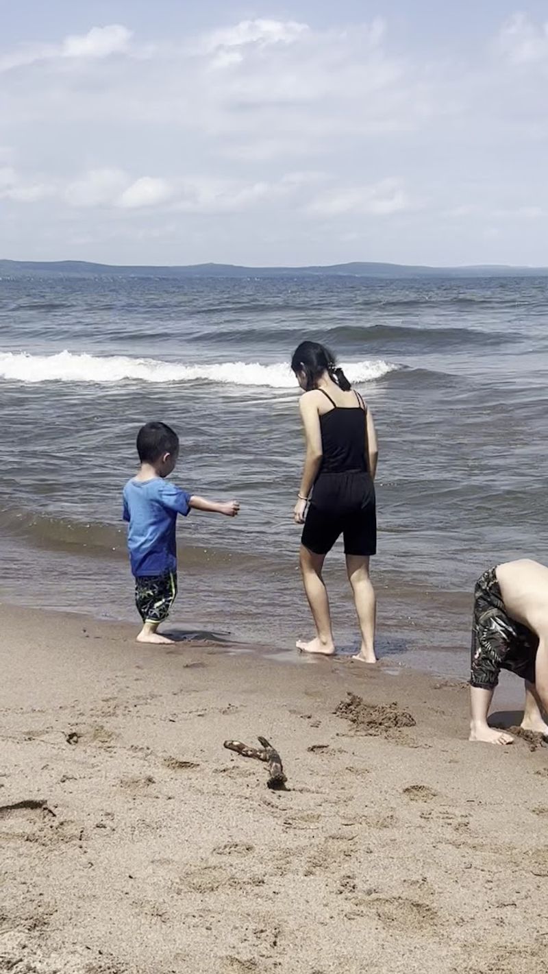 Rock Hunting Along the Shore