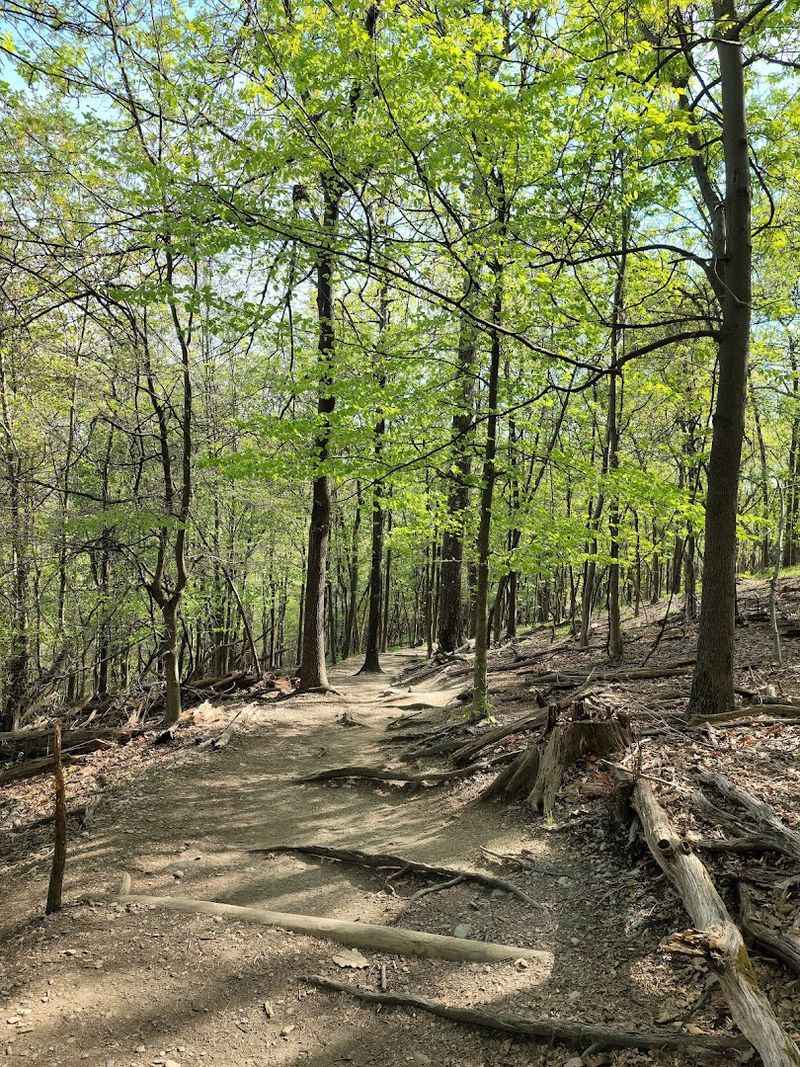 Rocky, Steep, and Completely Worth It: Trail Conditions