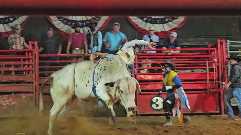 Rodeo Culture and Small-Town Pride Rodeo Culture and Small-Town Pride