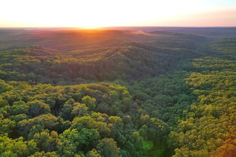 Rolling Hills and Rugged Terrain That Challenge Your Skills