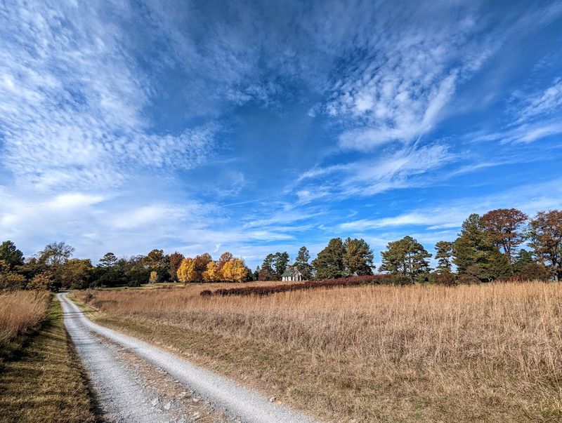 Rolling Meadows With Mountain Views That Stop You Mid-Step Rolling Meadows With Mountain Views That Stop You Mid-Step