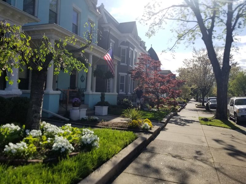 Rowhouse Culture and the Art of the Front Porch