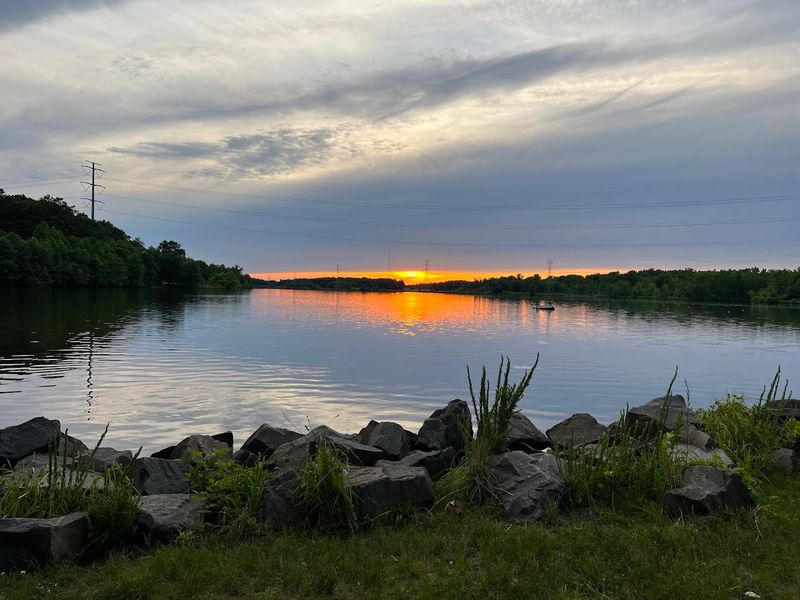 Bald Eagles and Wildlife Worth Waking Up Early For