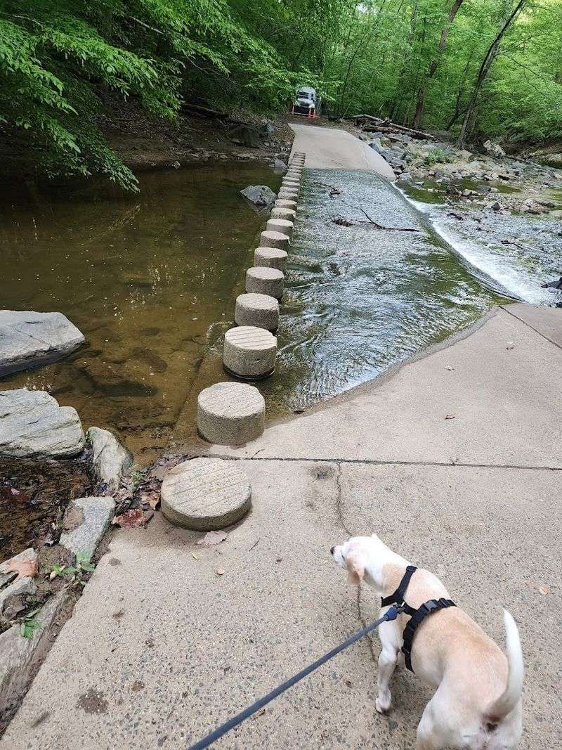 Rules of the Trail That Actually Make Sense