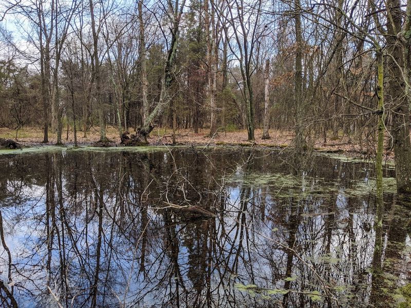 Rust Nature Sanctuary, Leesburg