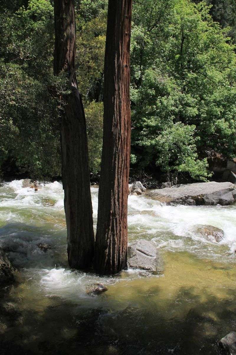 Best Time of Year to Visit for Peak Flow