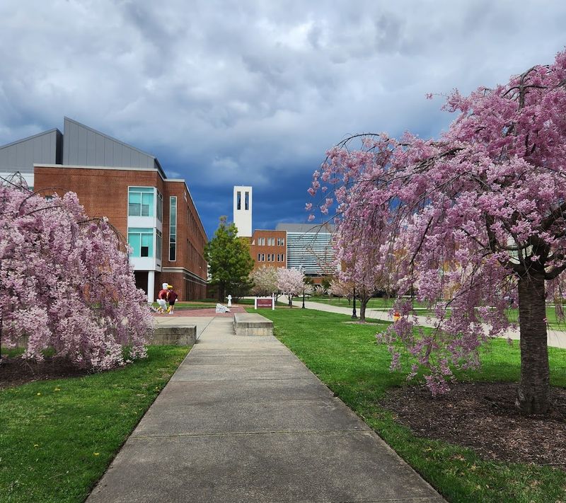 Salisbury University And Its Public Events Salisbury University And Its Public Events