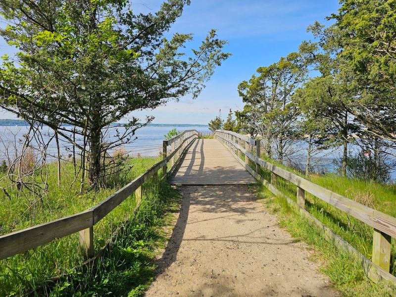 Salt Marshes, Maritime Forests, and Dunes Along the Route