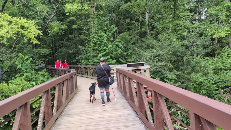Sandstone Falls Boardwalk Sandstone Falls Boardwalk