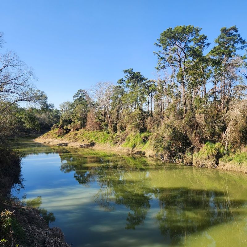Sandy Creek Beaches Hidden Deep in the Forest