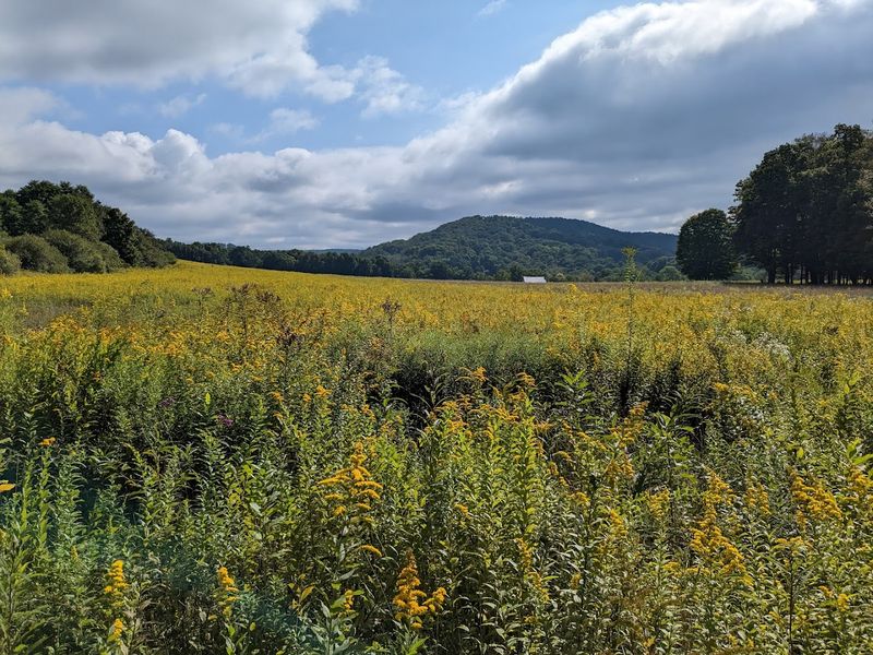 Sang Run State Park Sang Run State Park
