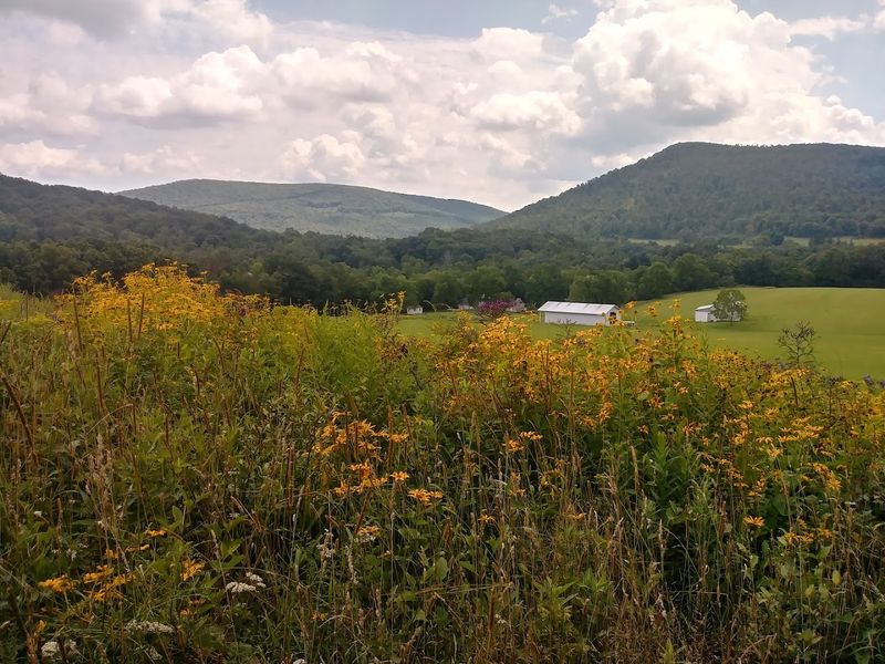 Sang Run State Park
