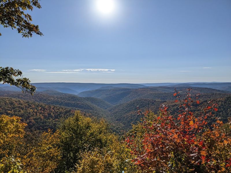 Savage River State Forest Adds Even More
