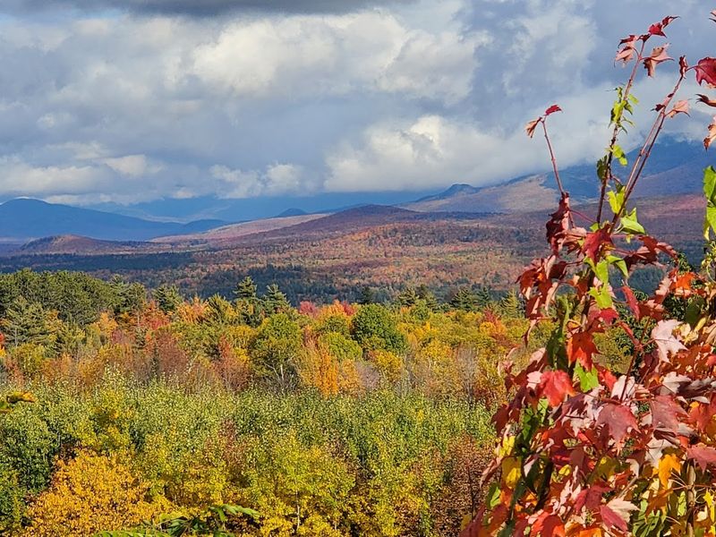 Scenic Drives Through Sugar Hill Are Simply Unmatched Scenic Drives Through Sugar Hill Are Simply Unmatched