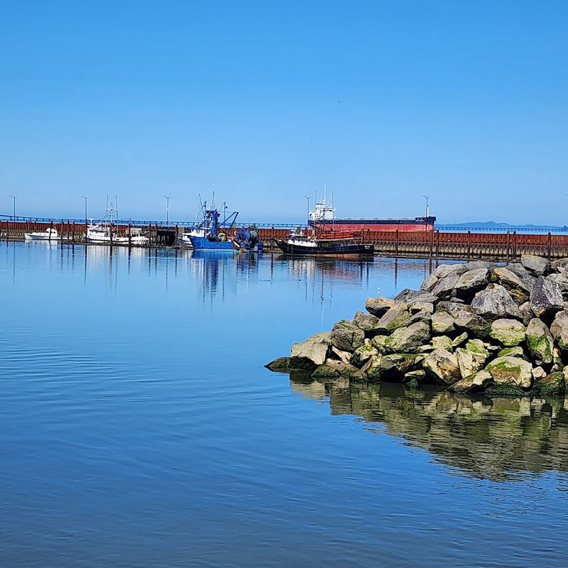 Sea Lions, Ships, and Columbia River Views