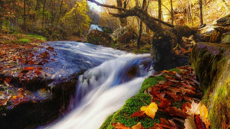 Seasonal Beauty: A Trail That Reinvents Itself Four Times a Year