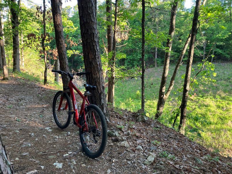 Mountain Biking at Welling Ridge