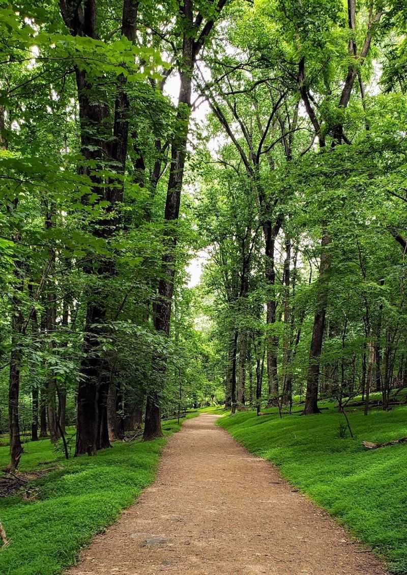 Seasonal Magic: When to Visit Maryland Heights