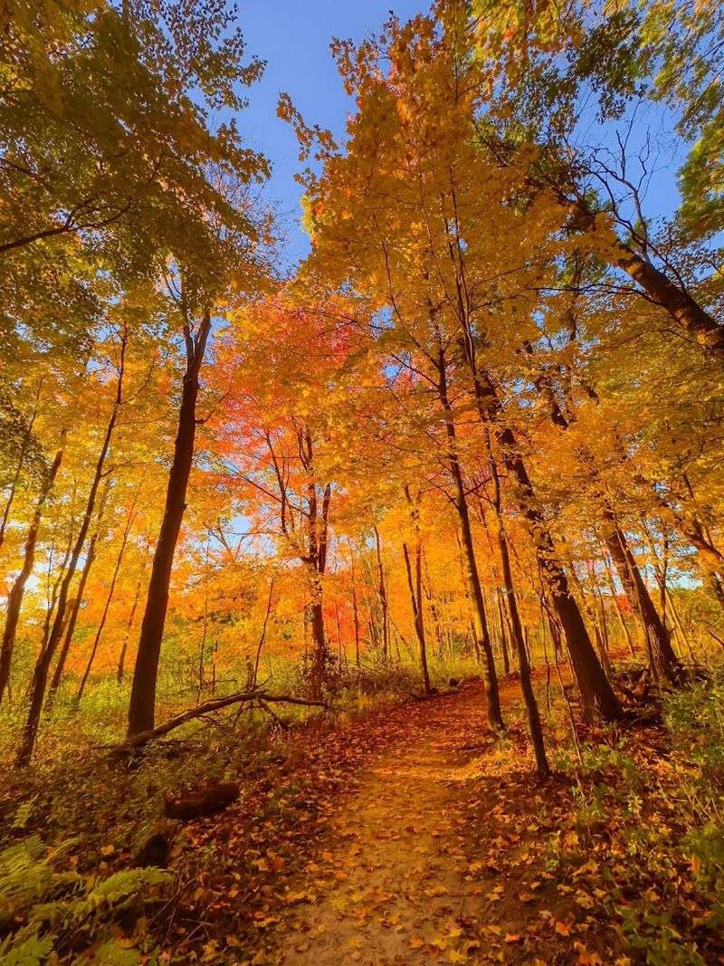 Seasonal Visits: Why Every Month Feels Different Here