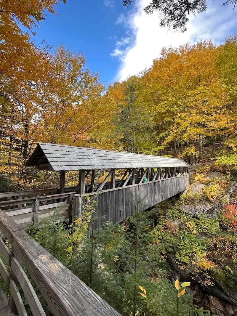 Sentinel Pine Bridge, The Covered Bridge With A Hurricane Story Sentinel Pine Bridge, The Covered Bridge With A Hurricane Story