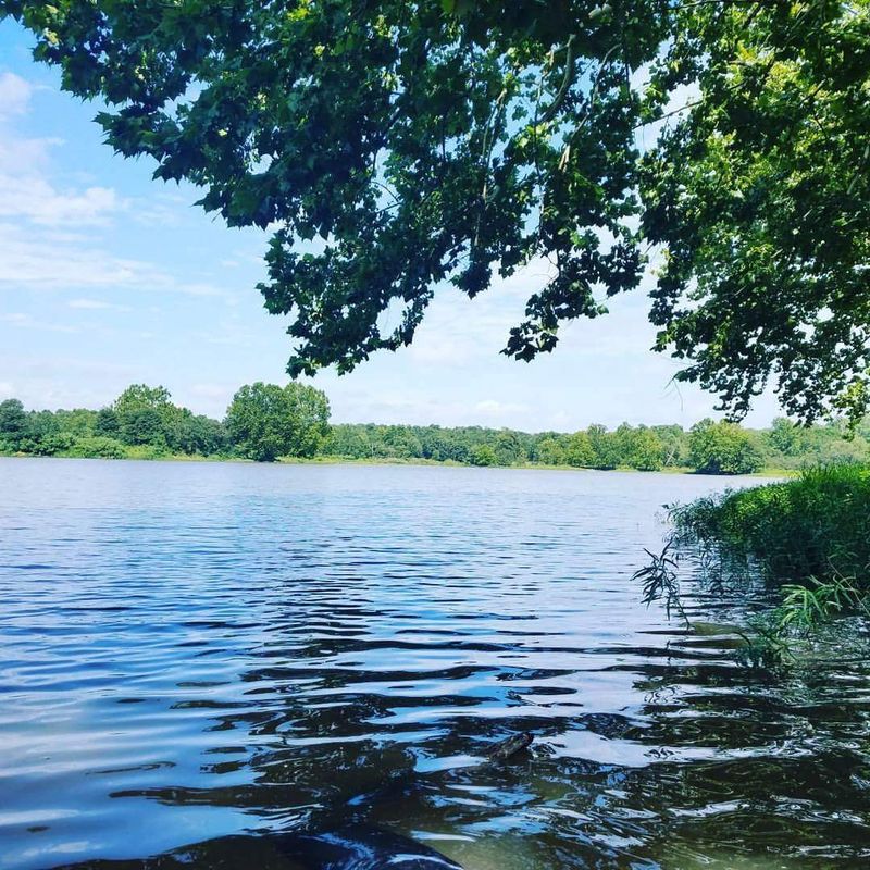 Setting and Scenery Around the Water