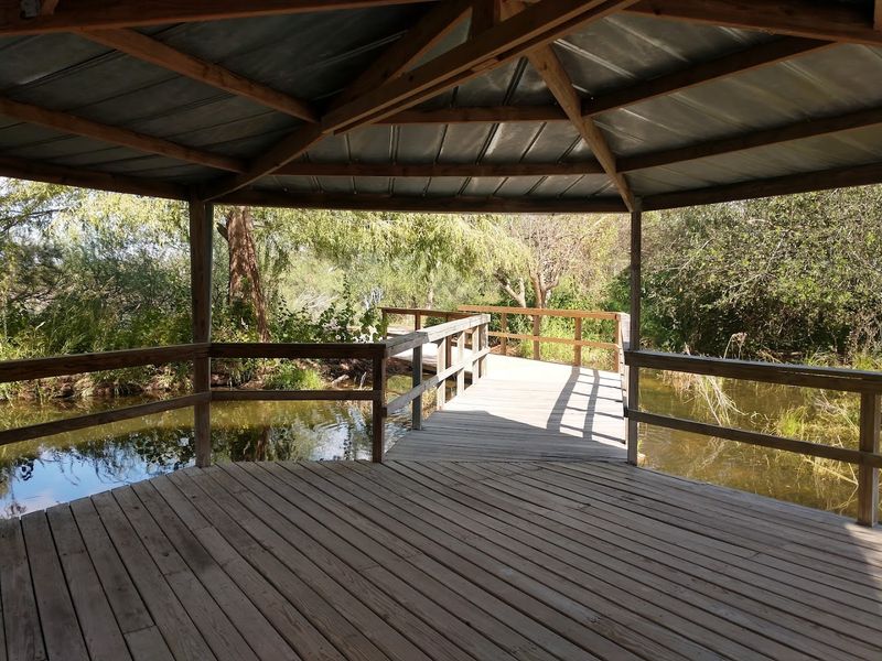 Seven Viewing Docks and What You Might Spot From Each