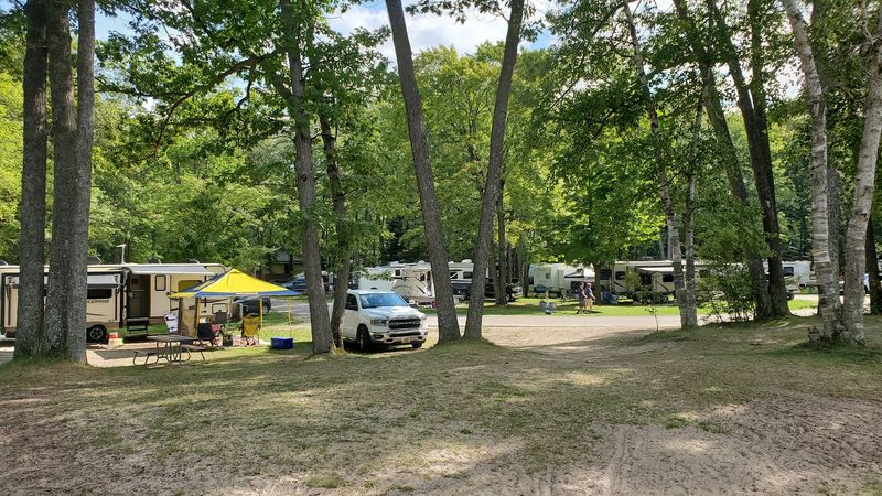 Shade, Pines, And That Relaxed Camp Feeling