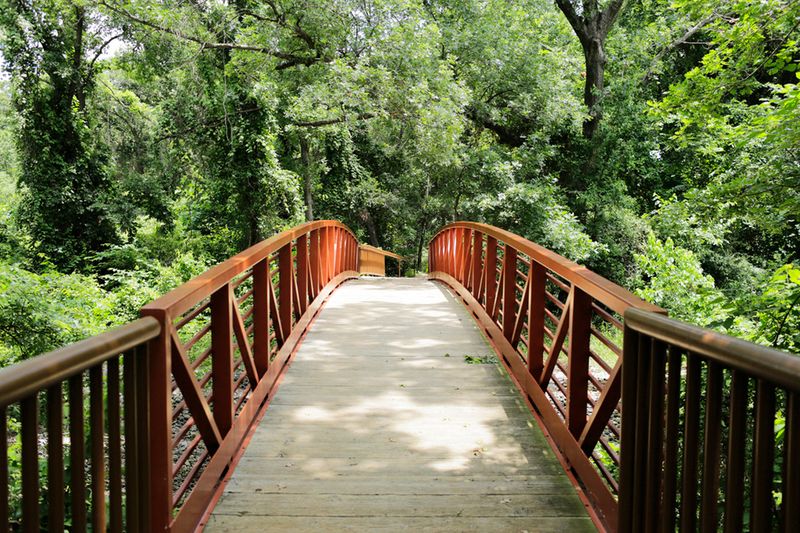 Shaded Forest Canopy That Keeps the Texas Heat Manageable